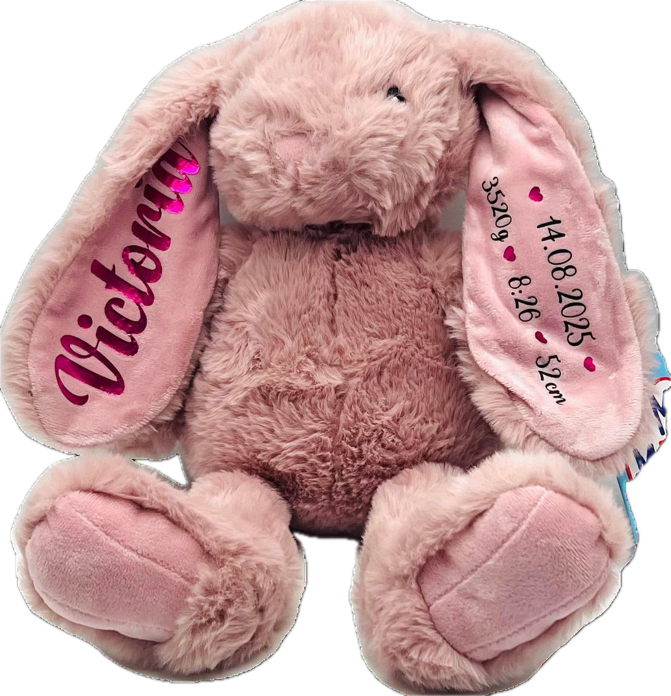Plüsch-Hase mit Name - personalisiert